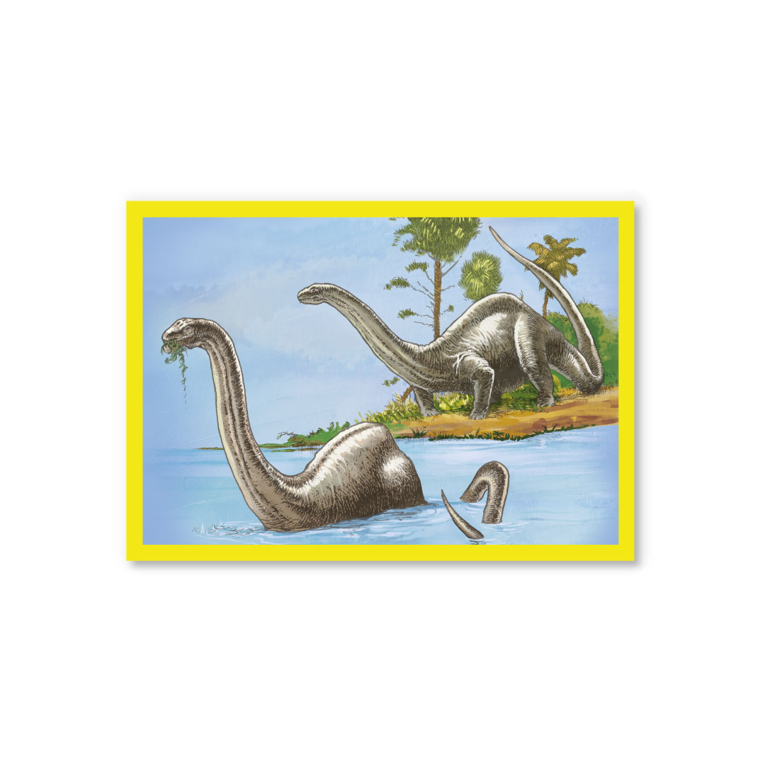 Picture of Brontosaurus Postcard (12344)