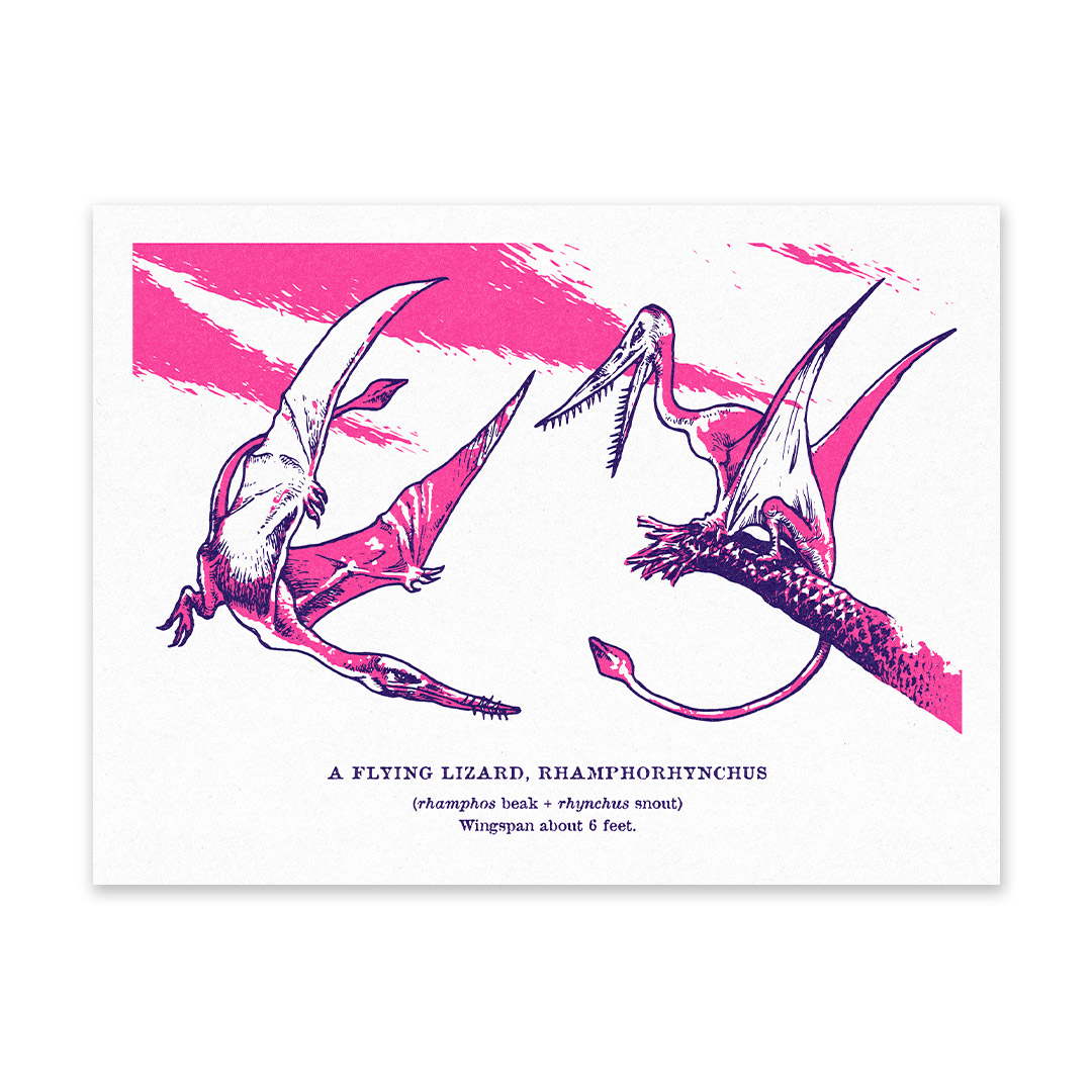 Picture of Rhamphorhynchus Riso Print (6x8) (12526)