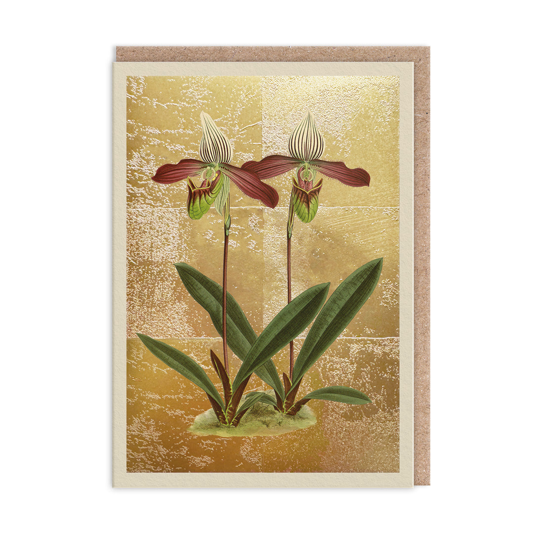 Picture of Cypripedium Meirax Greeting Card (11985)