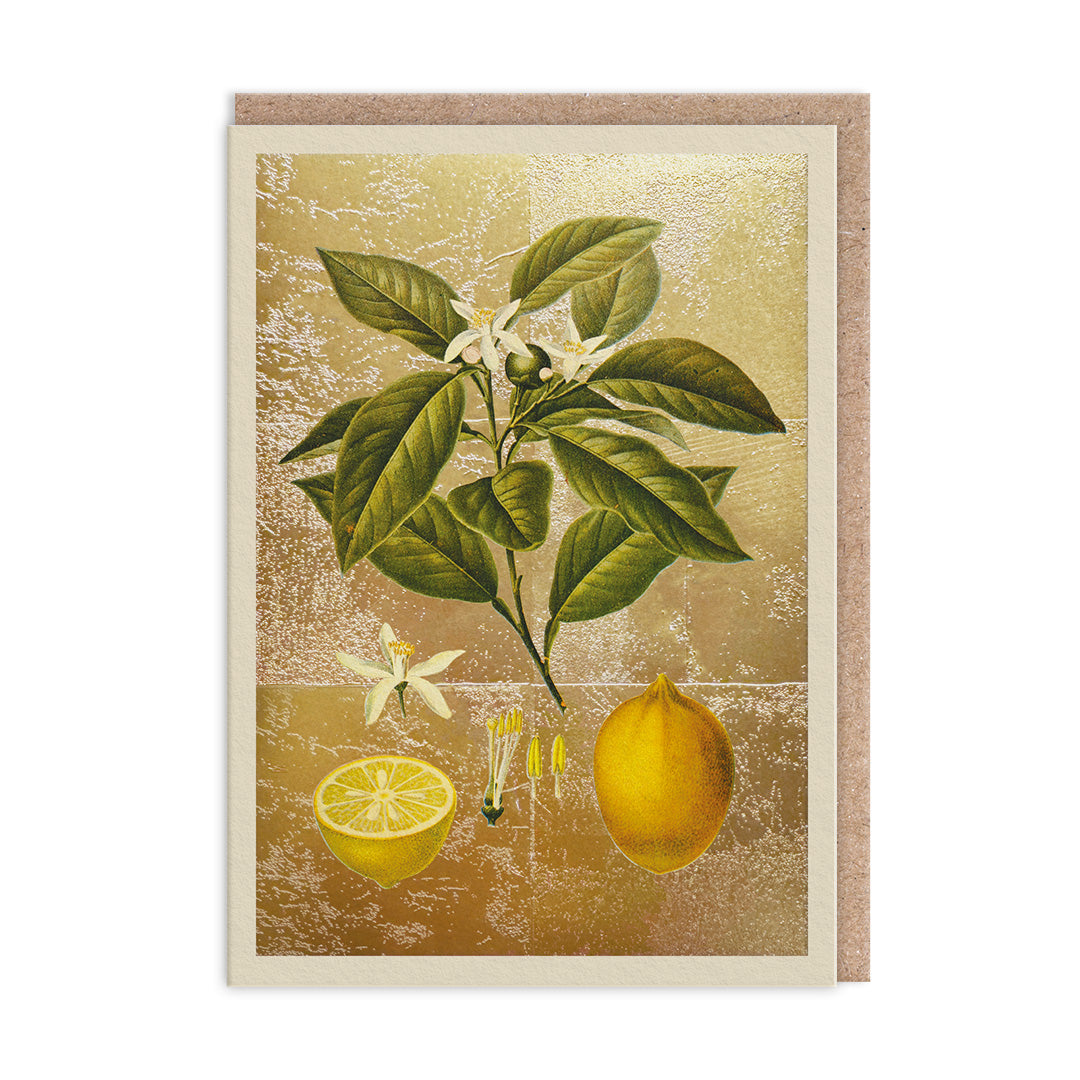 Picture of Lemons Greeting Card (11986)