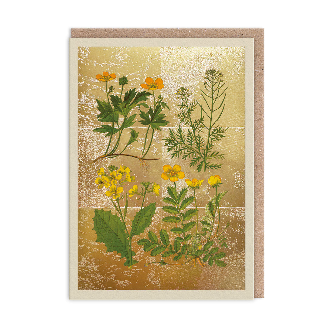 Picture of Wild Marsh Flower Collection Greeting Card (11988)