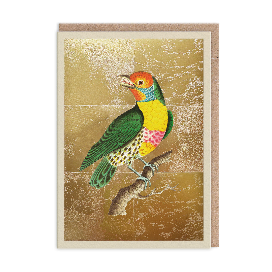 Picture of Lemon-Throated Barbet Greeting Card (11989)