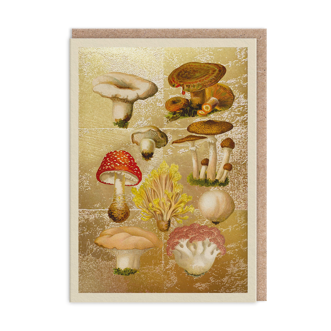 Picture of Fungi Collection Greeting Card (11993)