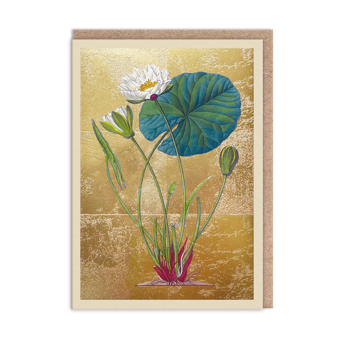 Picture of Pond Lily Greeting Card (11995)