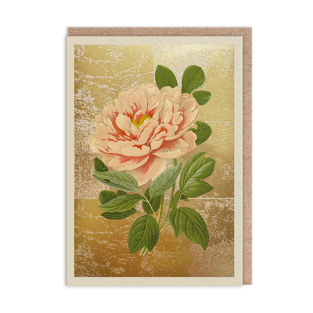 Picture of Tree Peony Greeting Card (11996)