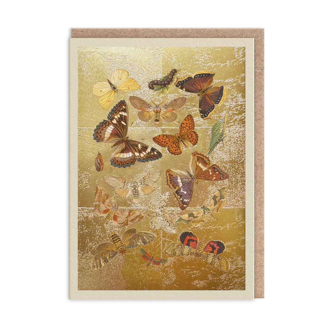 Picture of Lepidoptera Greeting Card (12004)
