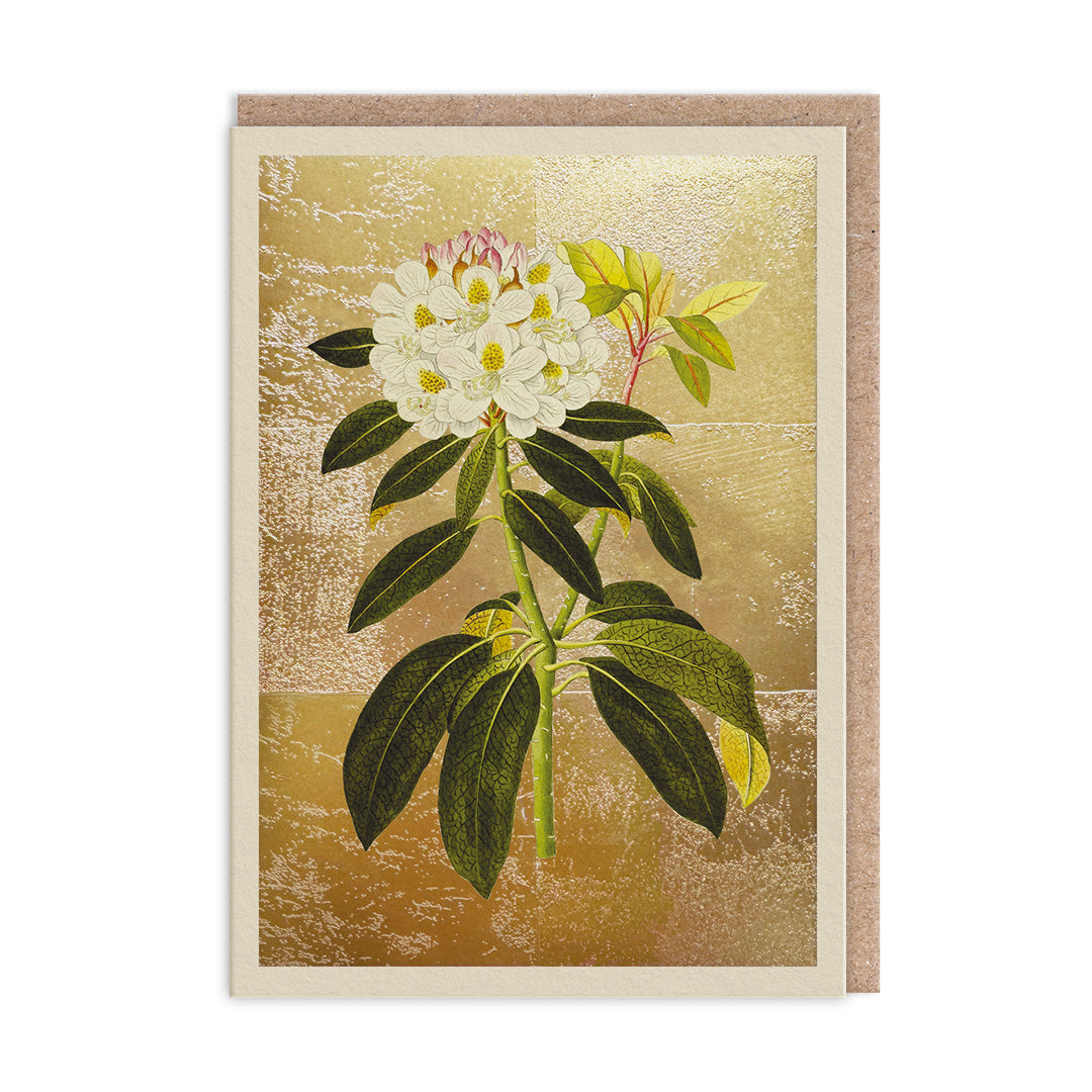 Picture of Rhododendron Greeting Card (12005)