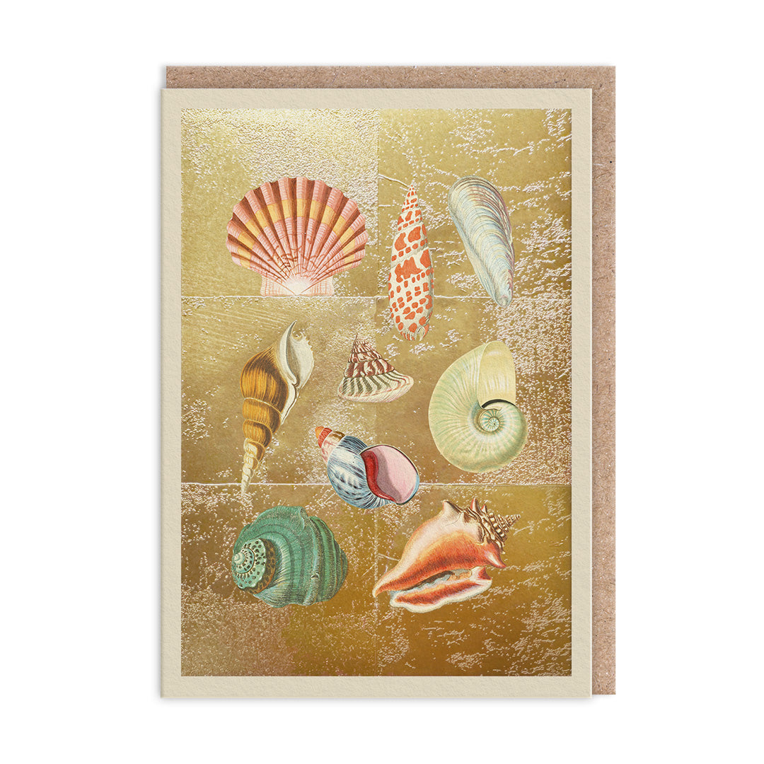 Picture of Shell Collection Greeting Card (12006)