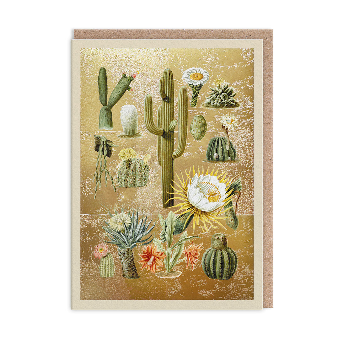 Picture of Cacti Greeting Card (12008)