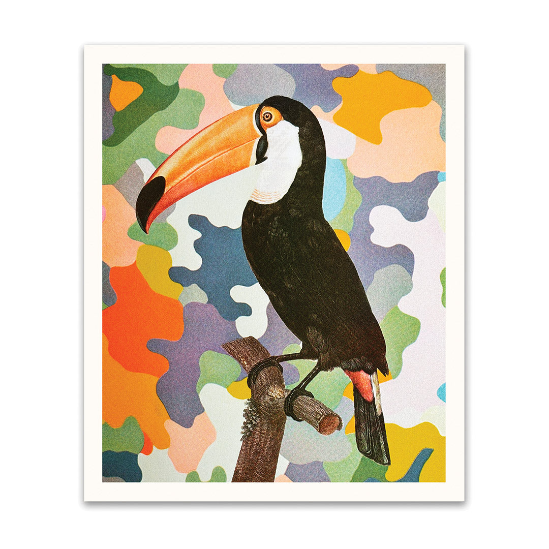 Picture of Toucan Riso Print (10x12) (12177)