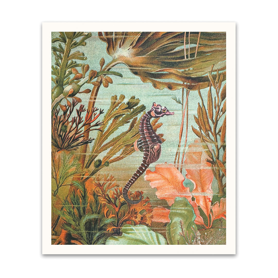 Picture of Seahorse Riso Print (10x12) (12197)