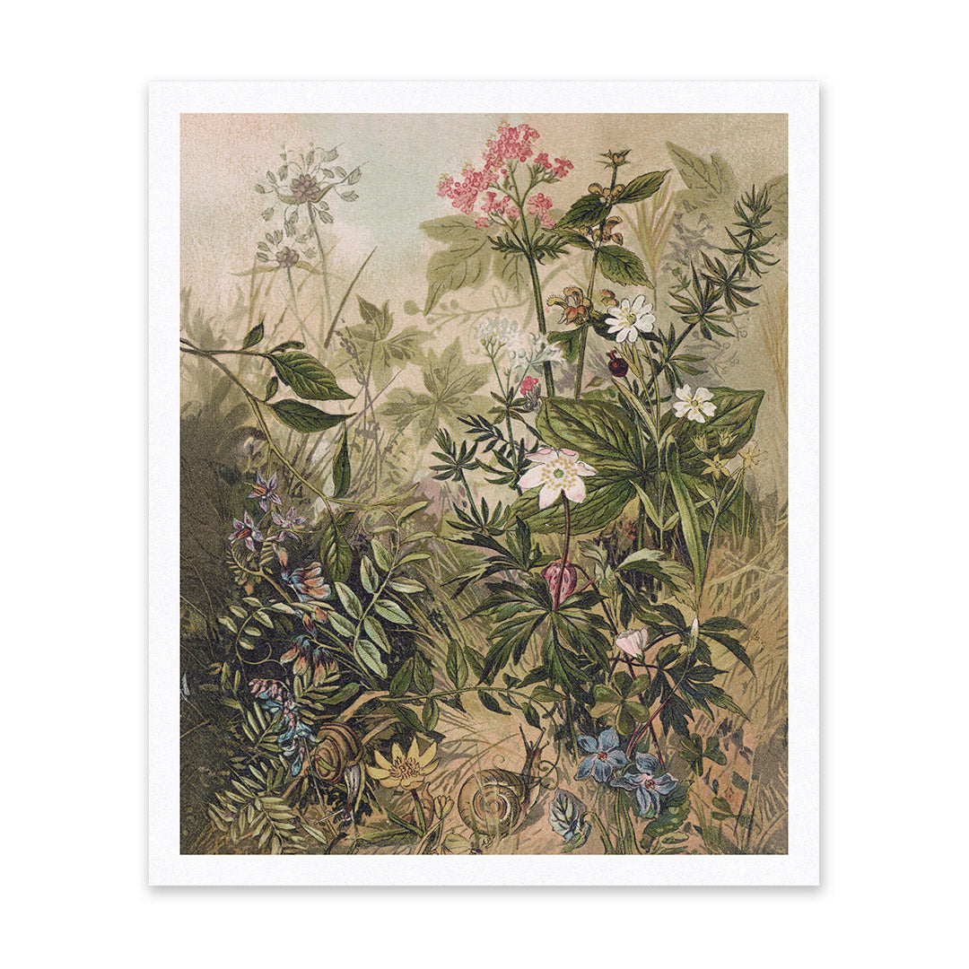 Picture of Wild Flowers Riso Print (10x12) (12198)