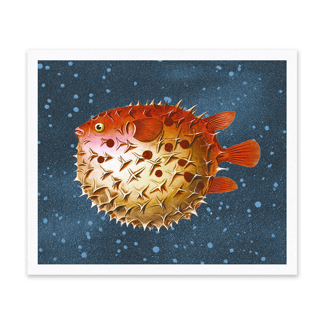 Picture of Puffer Fish Riso Print (10x12) (12201)