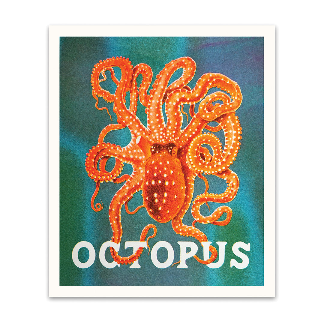 Picture of Octopus Riso Print (10x12) (12207)