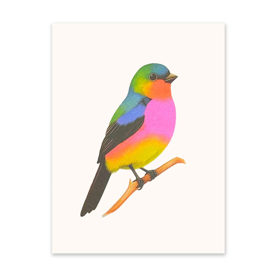 Picture of Neon Bird on a Branch Riso Print (6x8) (10925)