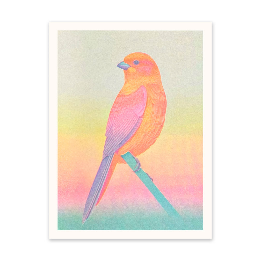 Picture of Neon Ombre Bird Riso Print (6x8) (10930)