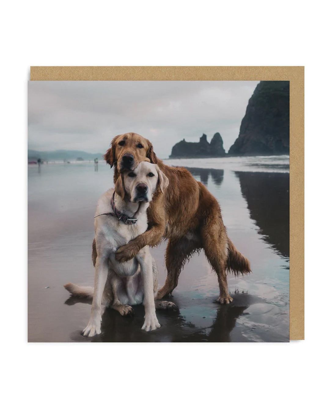 Picture of Beach Dogs Hug Greeting Card (3750)
