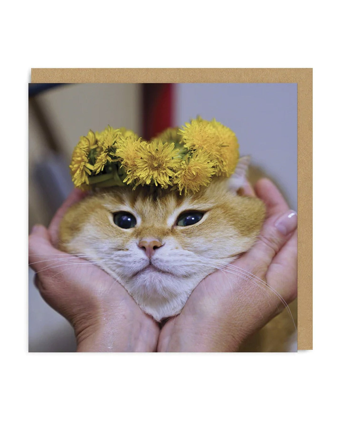 Picture of Cat Face Greeting Card (3756)