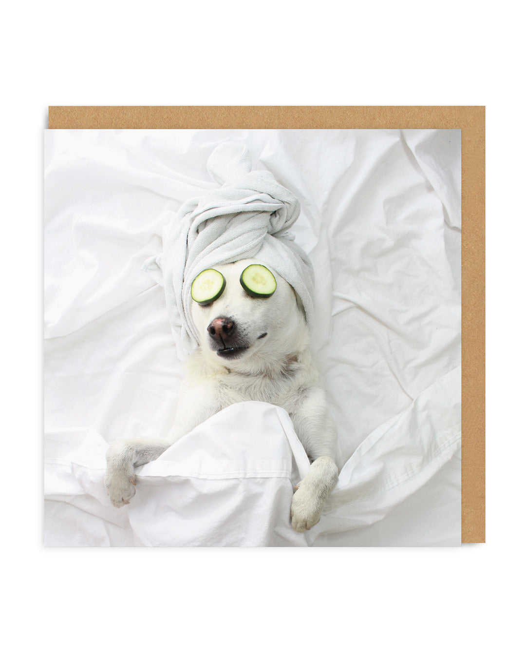 Picture of Pampered Pooch Greeting Card (3761)