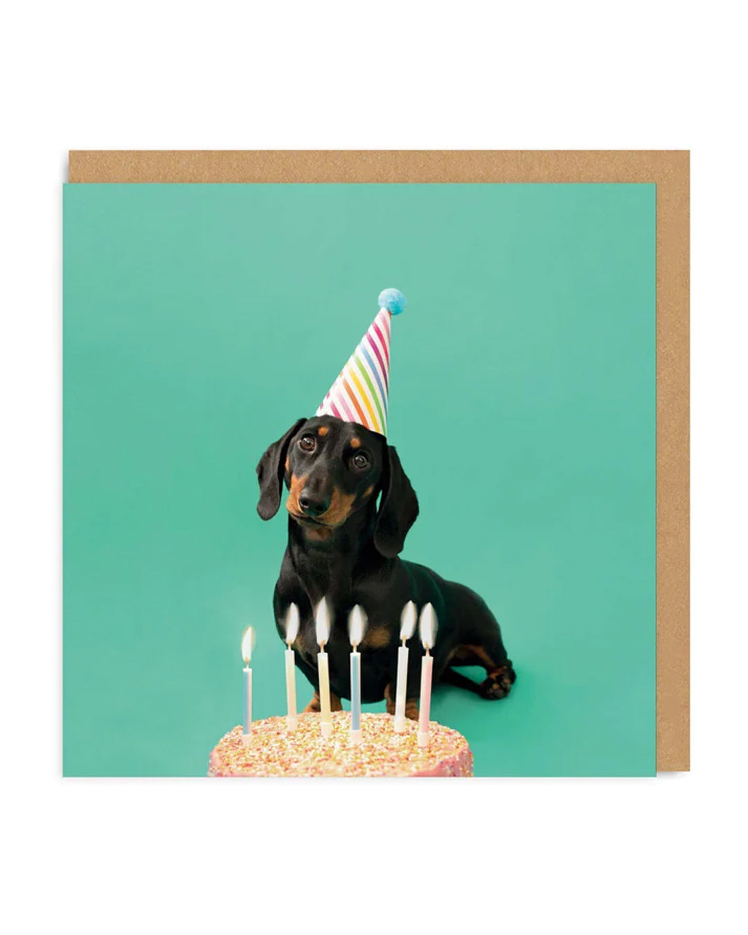 Picture of Scout Party Hat Greeting Card (3765)