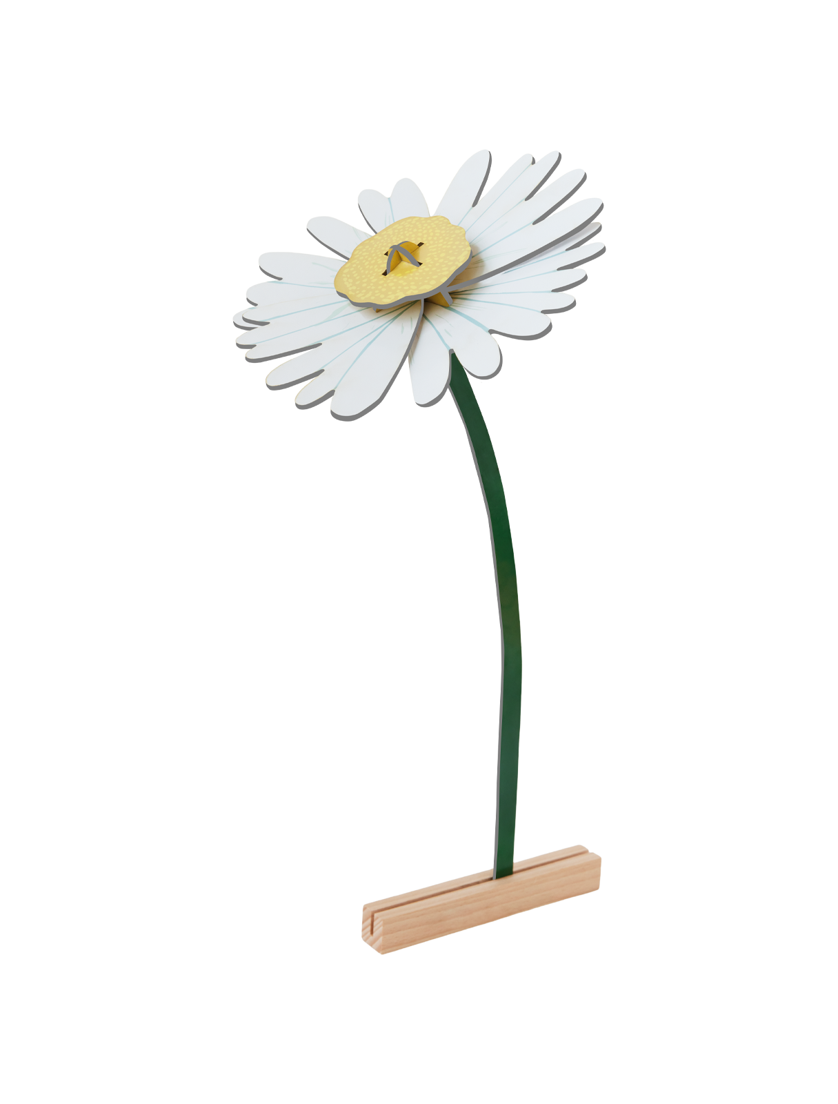 Picture of Daisy 