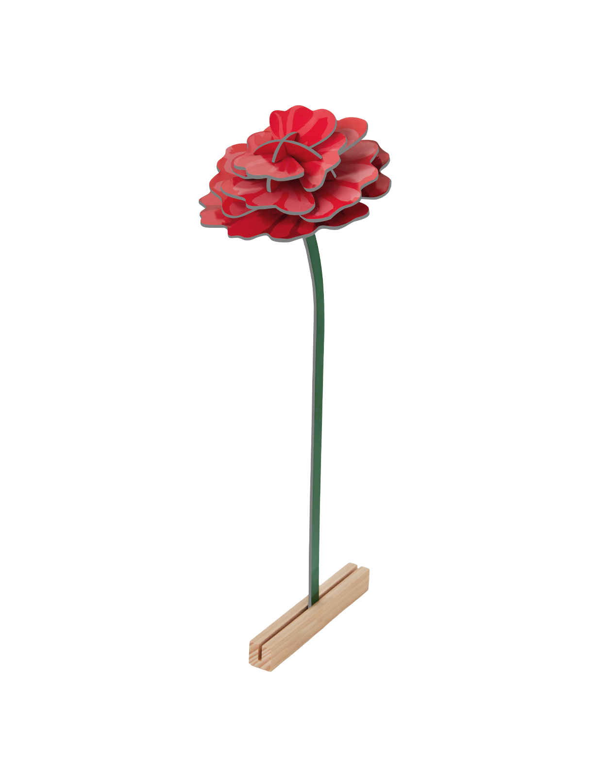 Picture of Rose 