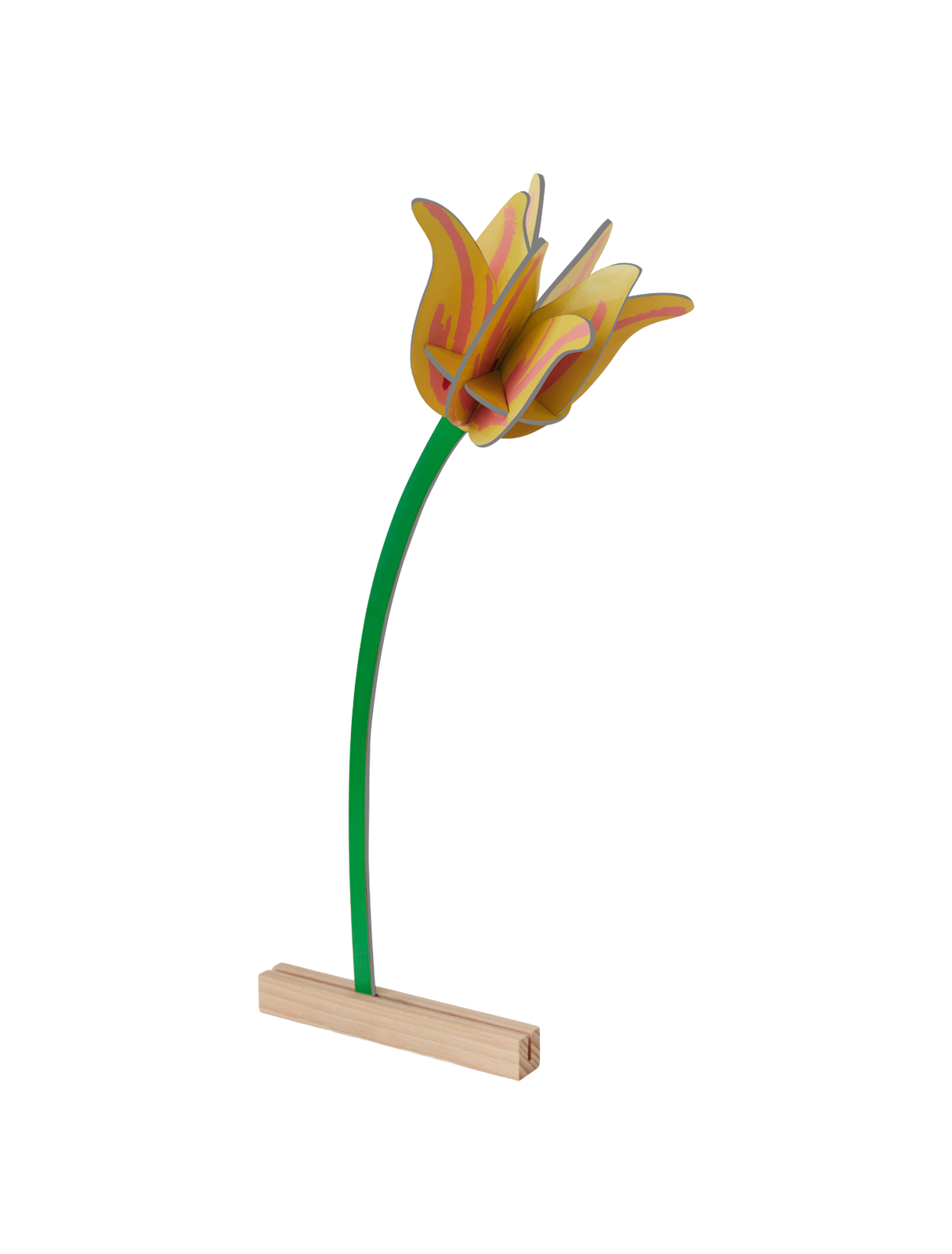 Picture of Yellow Tulip 