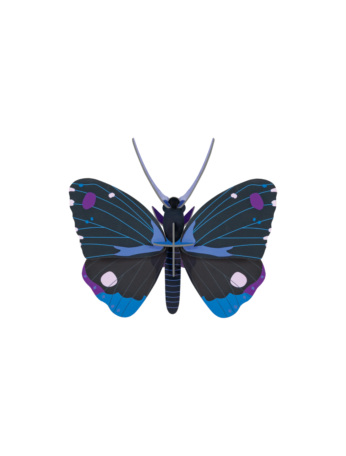 Picture of Blue Diadem Butterfly 