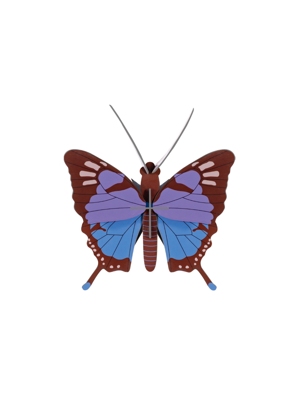Picture of Crysalus Butterfly - preorder for July