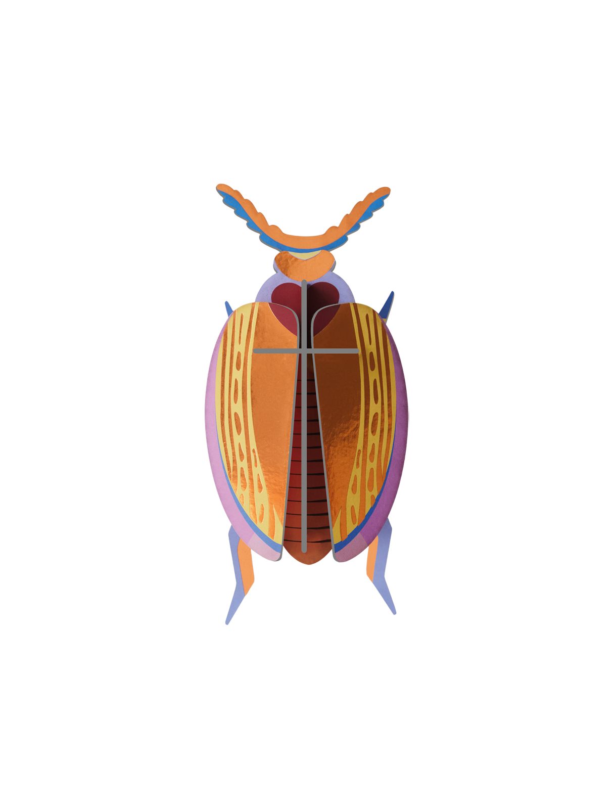 Picture of Cuprum Beetle 