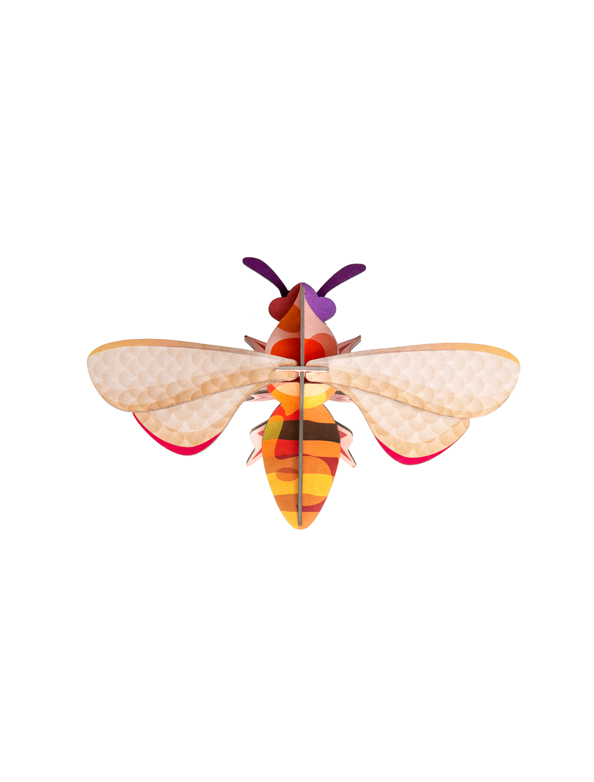 Picture of Honey Bee
