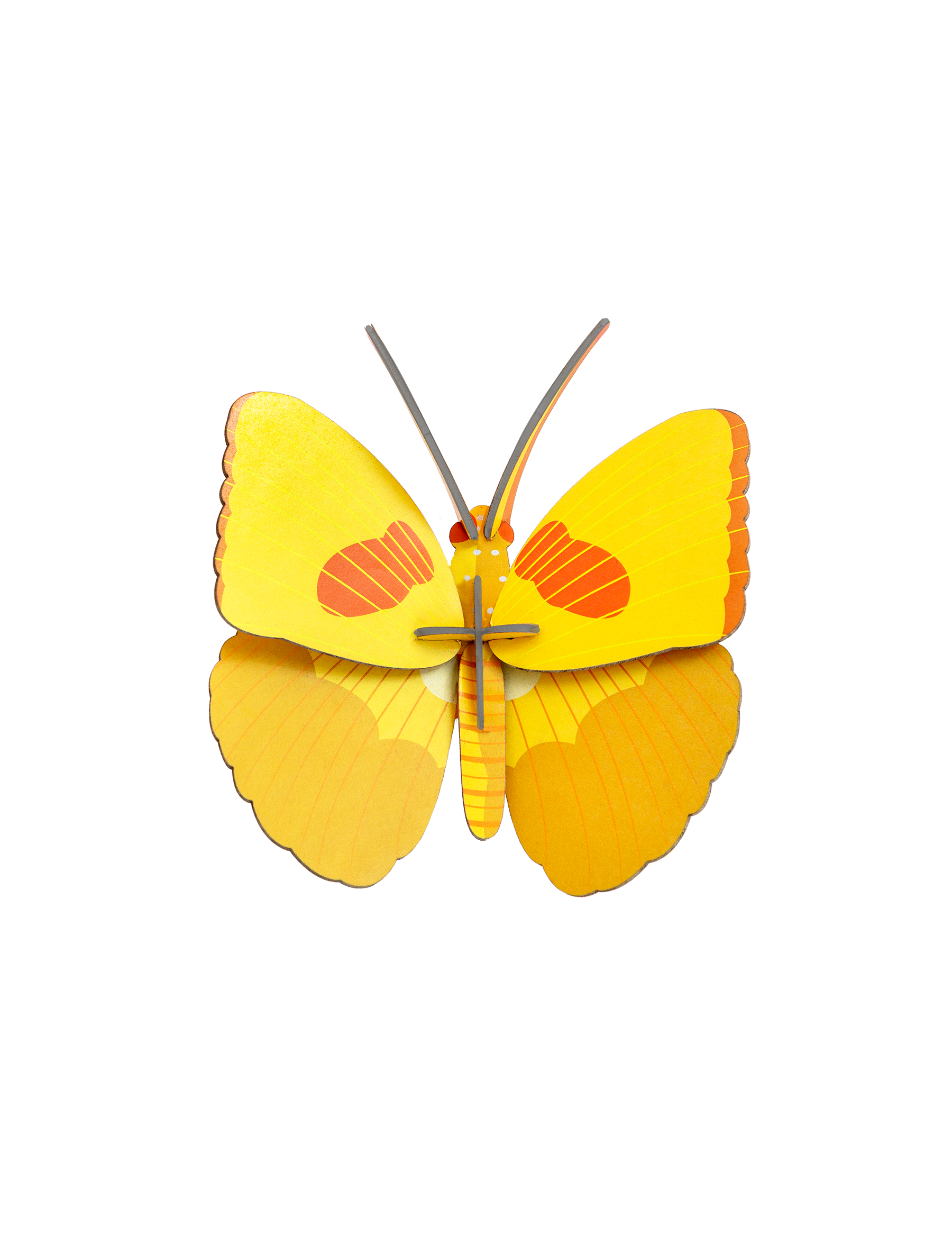 Picture of Yellow Butterfly