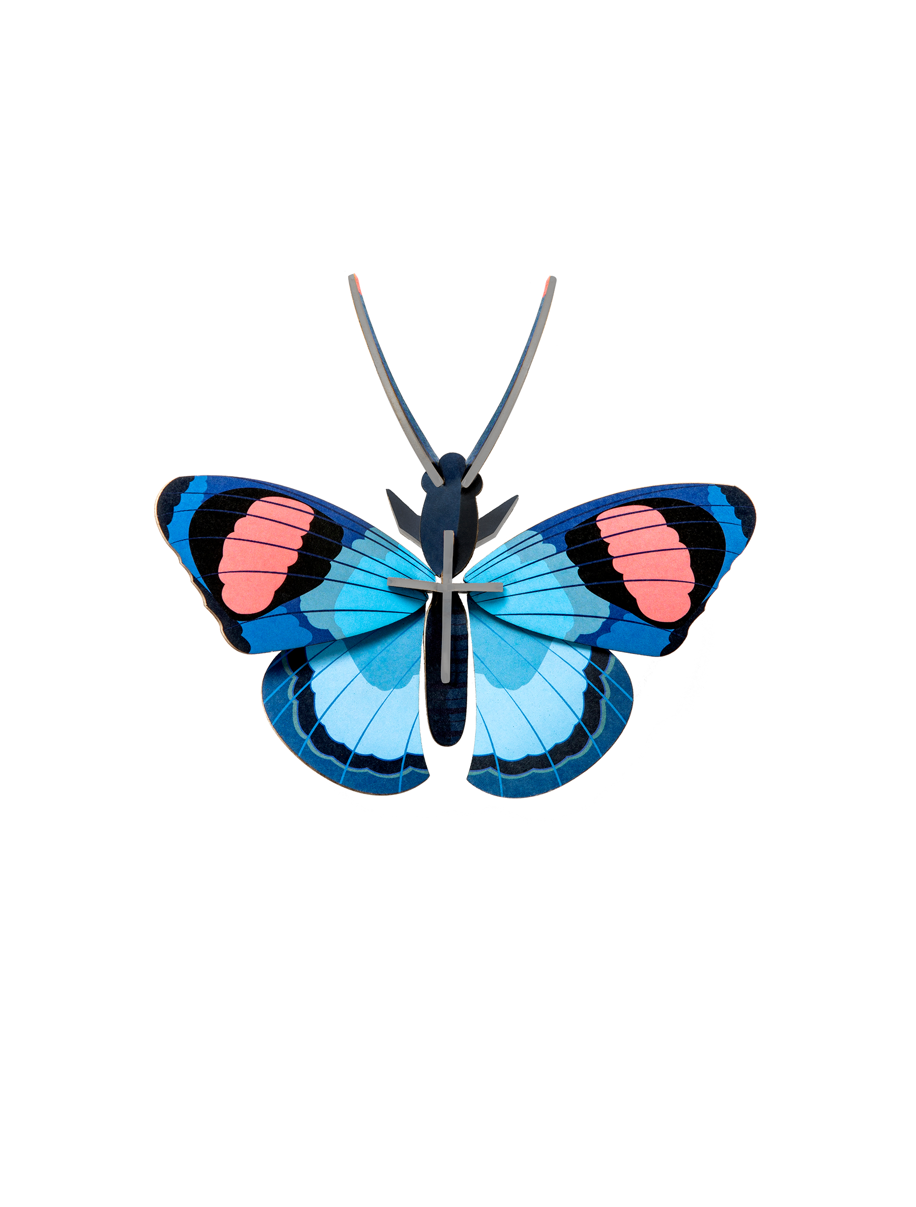 Picture of Peacock Butterfly 
