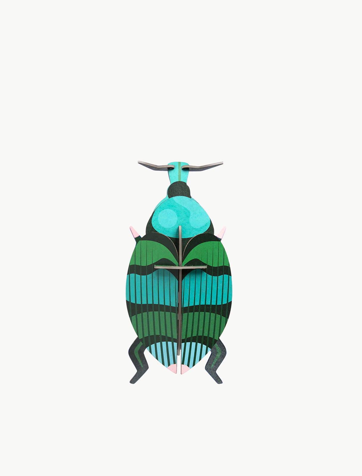 Picture of Weevil Beetle