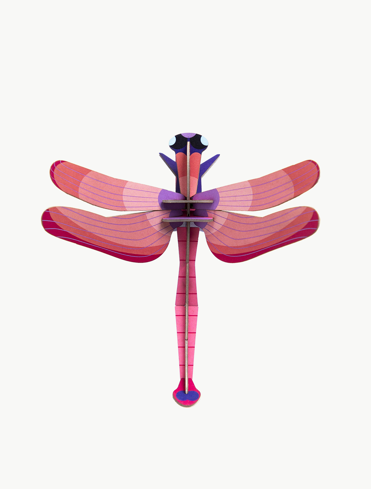 Picture of Ruby Dragonfly