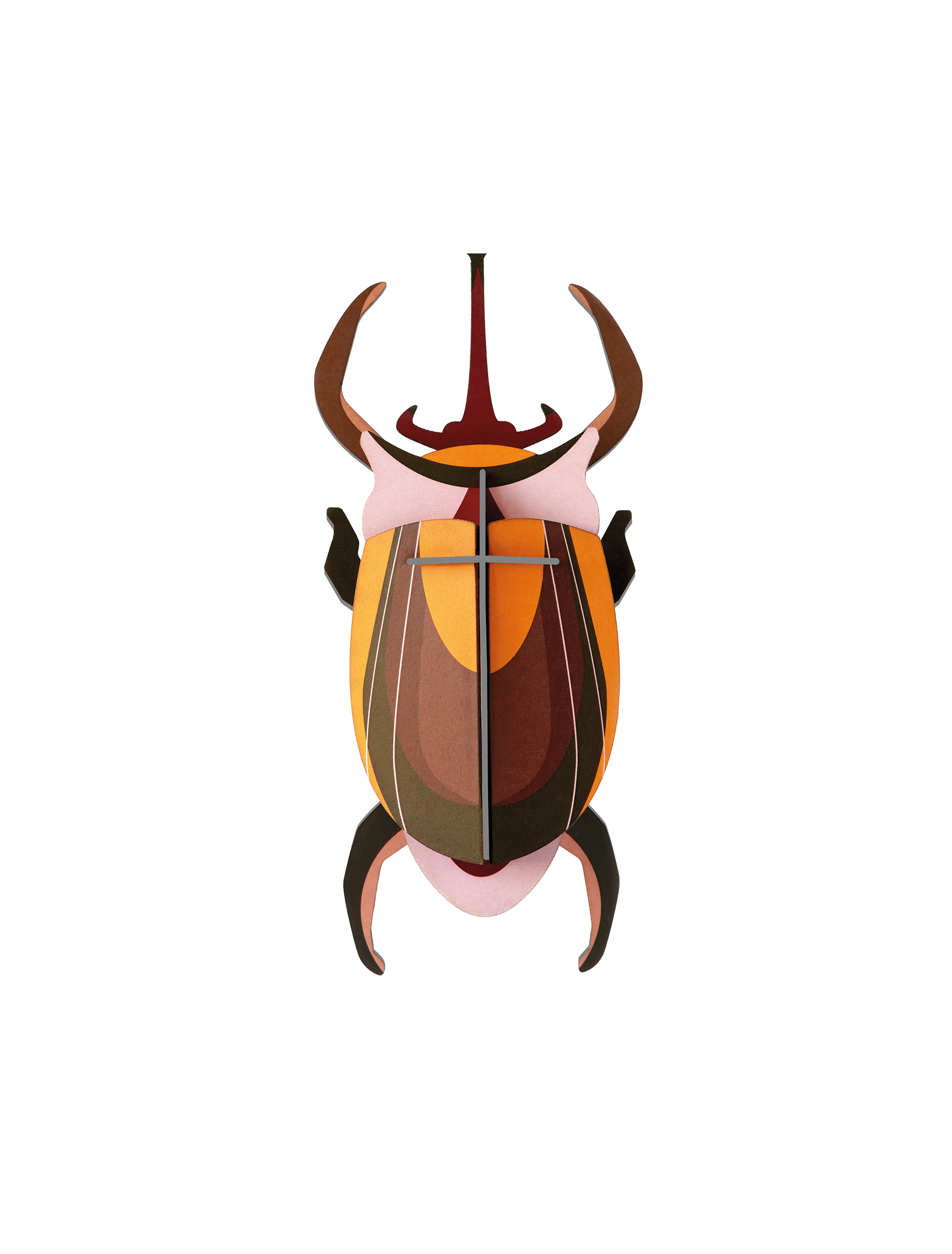 Picture of Elephant Beetle 