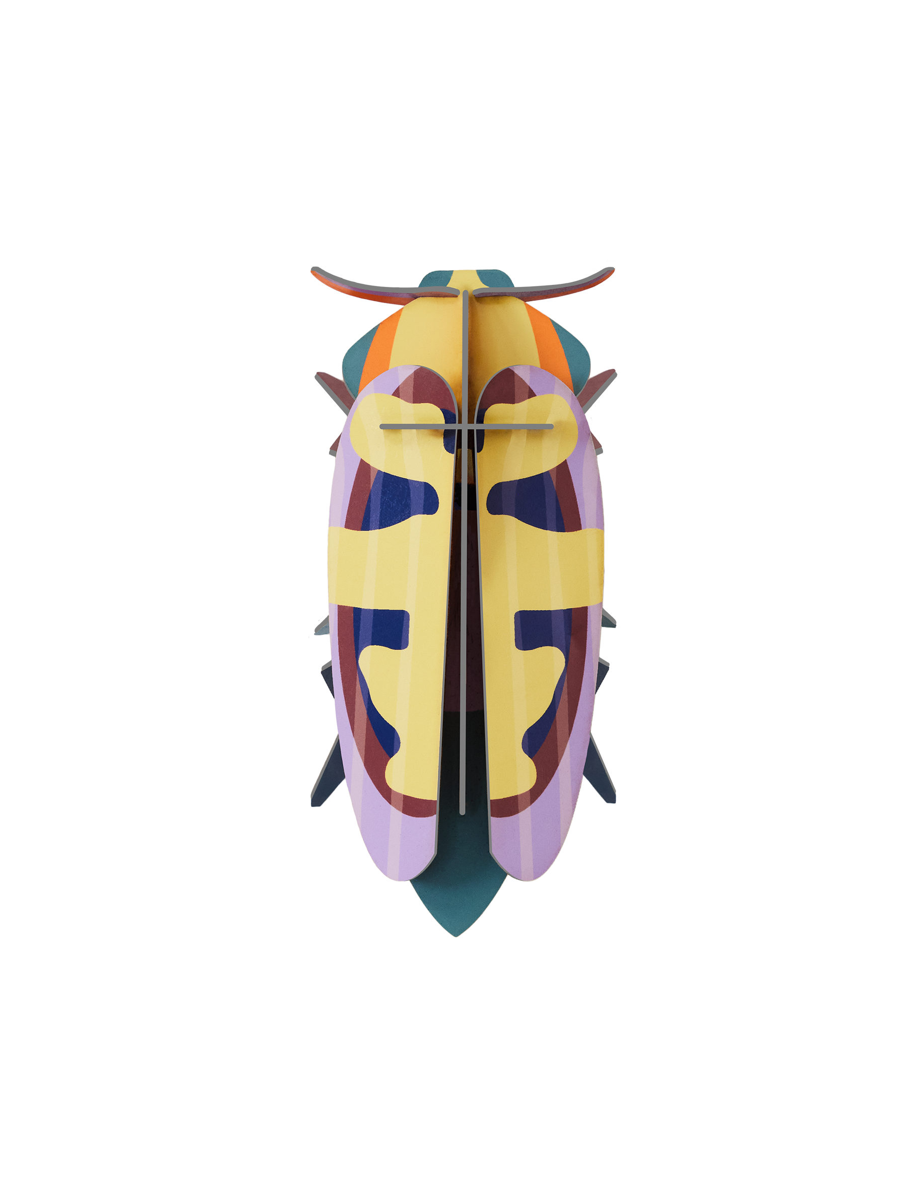 Picture of Mango Flower Beetle