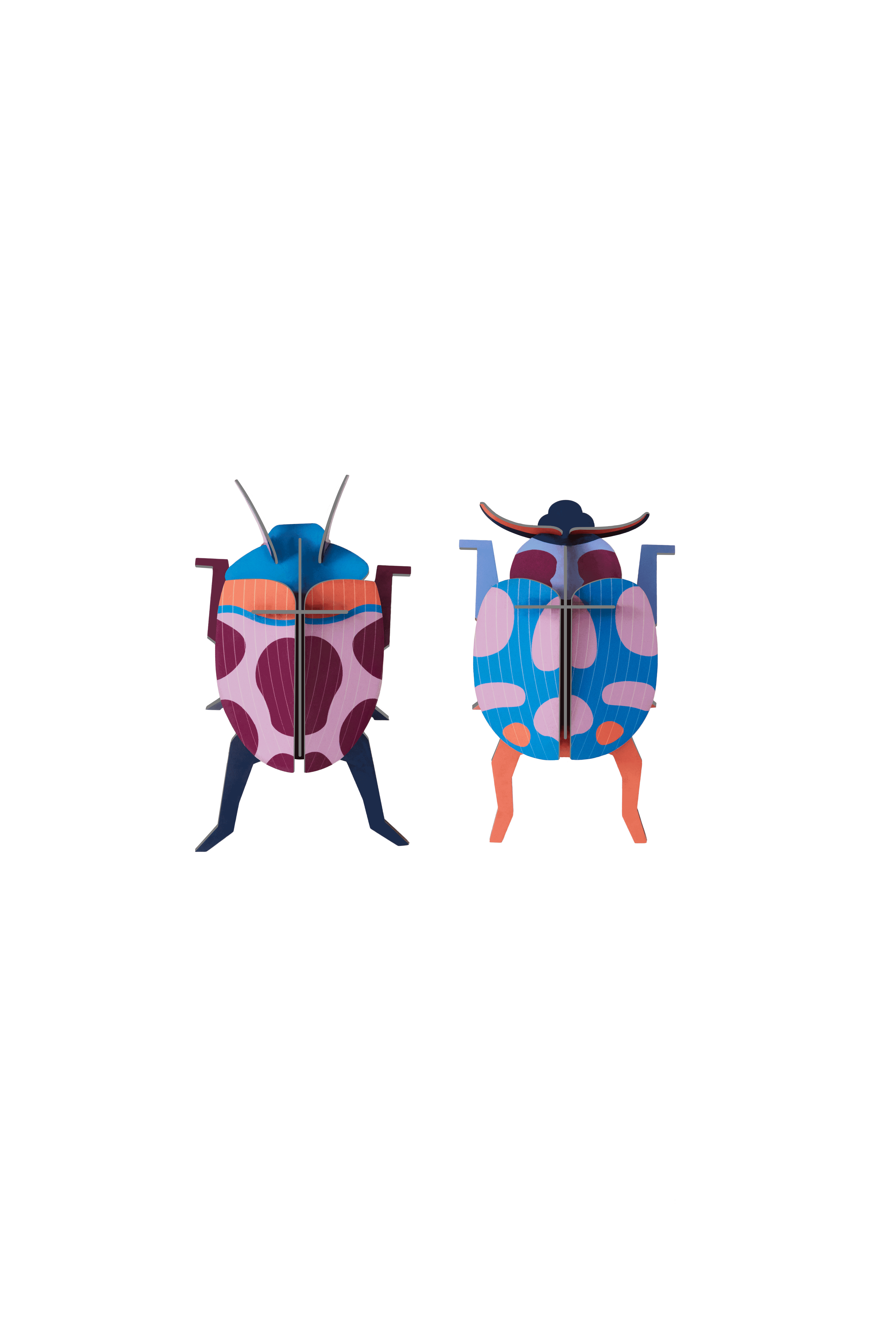 Picture of Coccinelle Couple