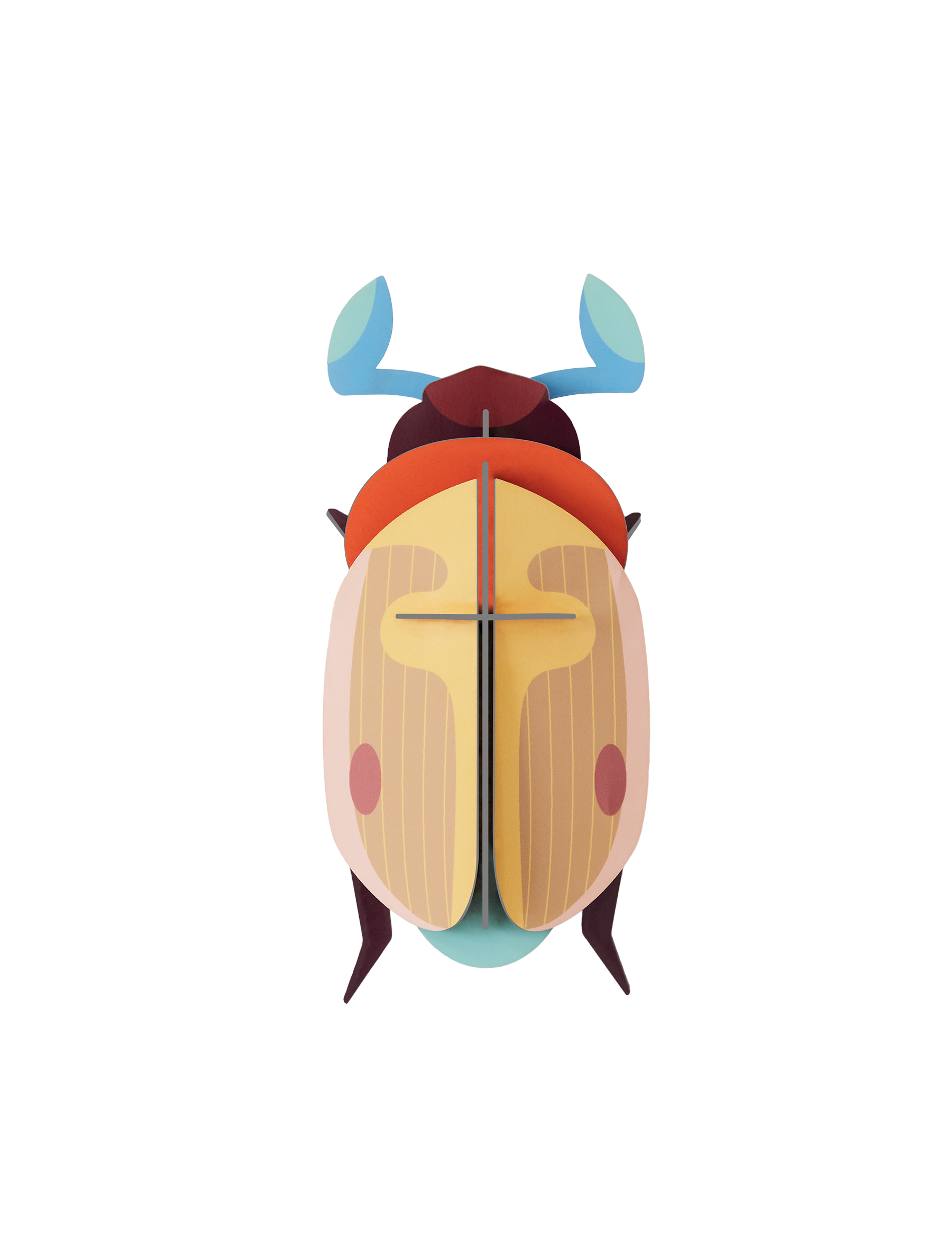 Picture of Lemon Fruit Beetle