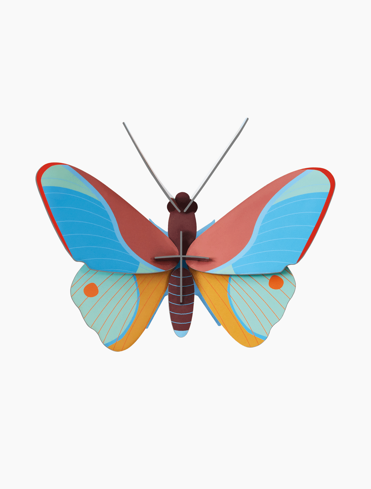 Picture of Claudina Butterfly
