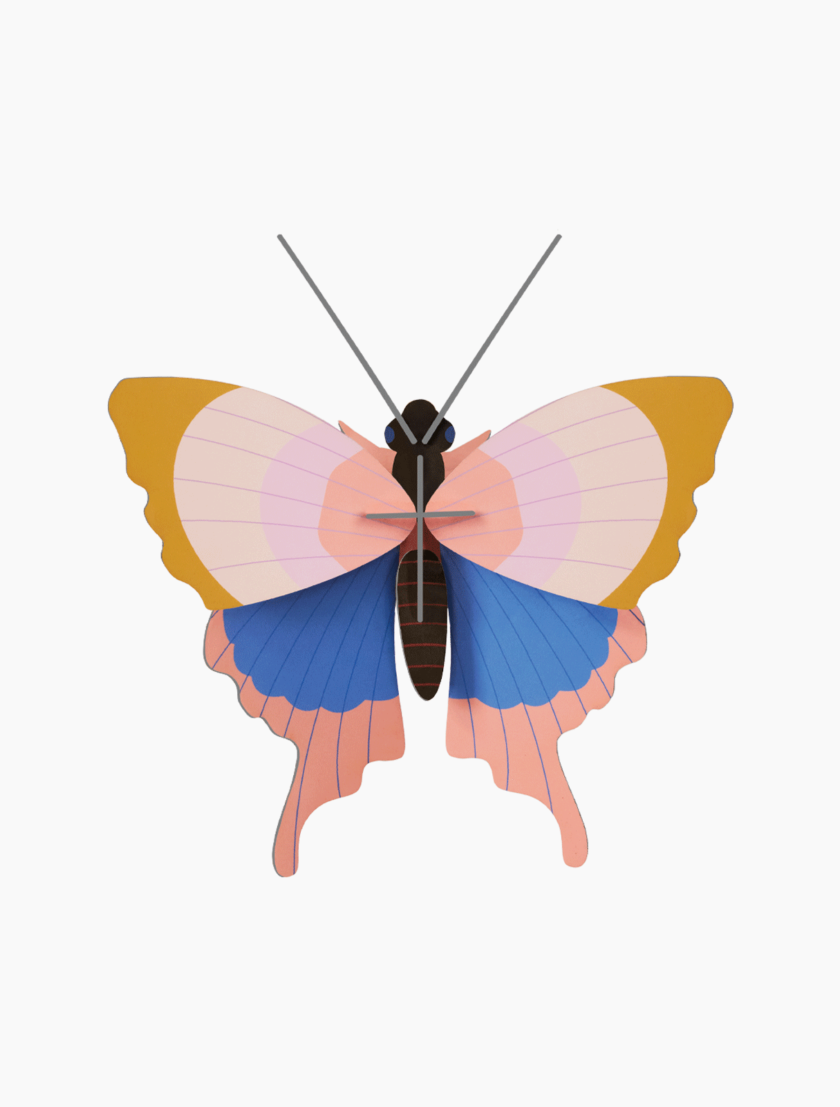 Picture of Gold Rim Butterfly