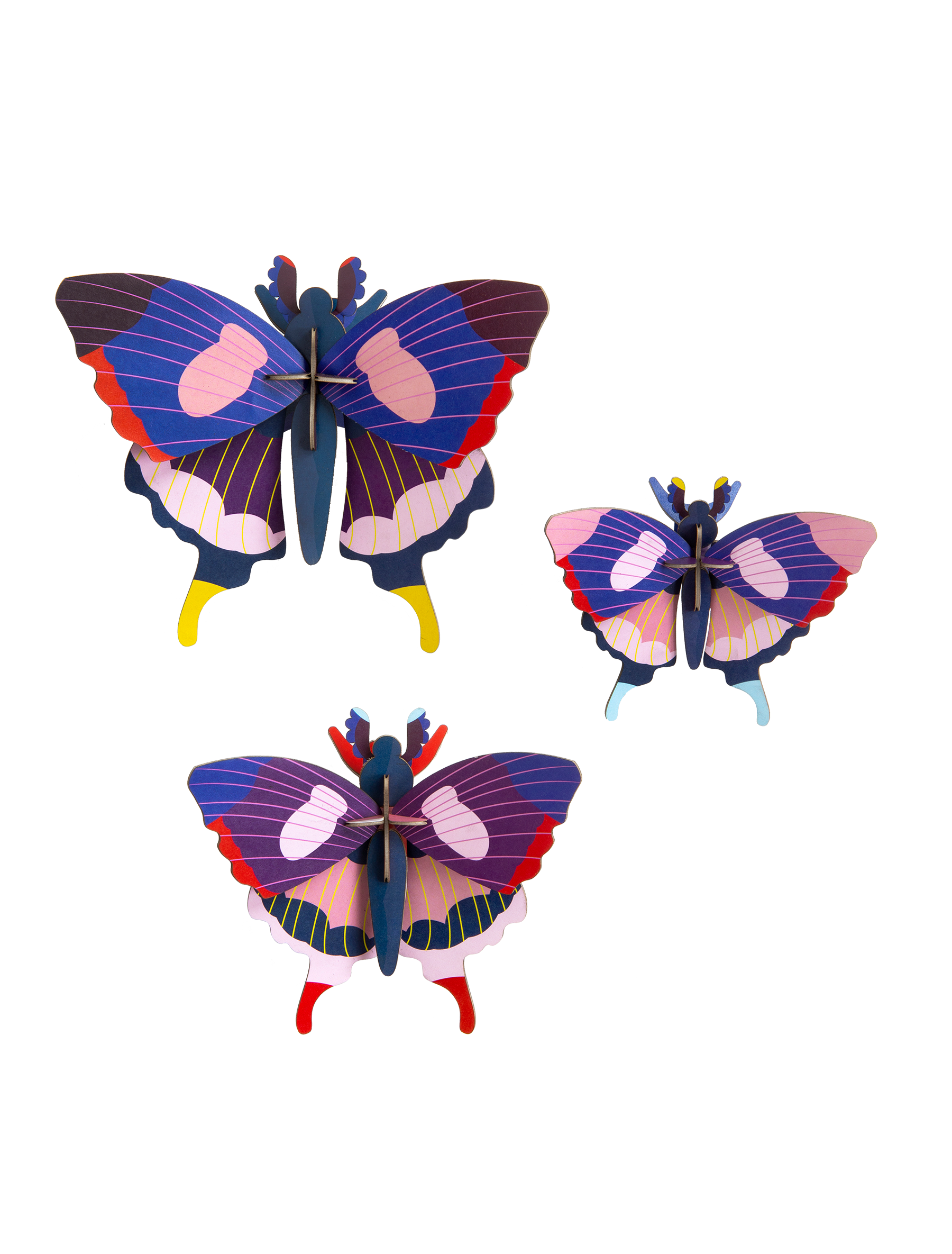 Picture of Swallowtail Butterflies, set of 3