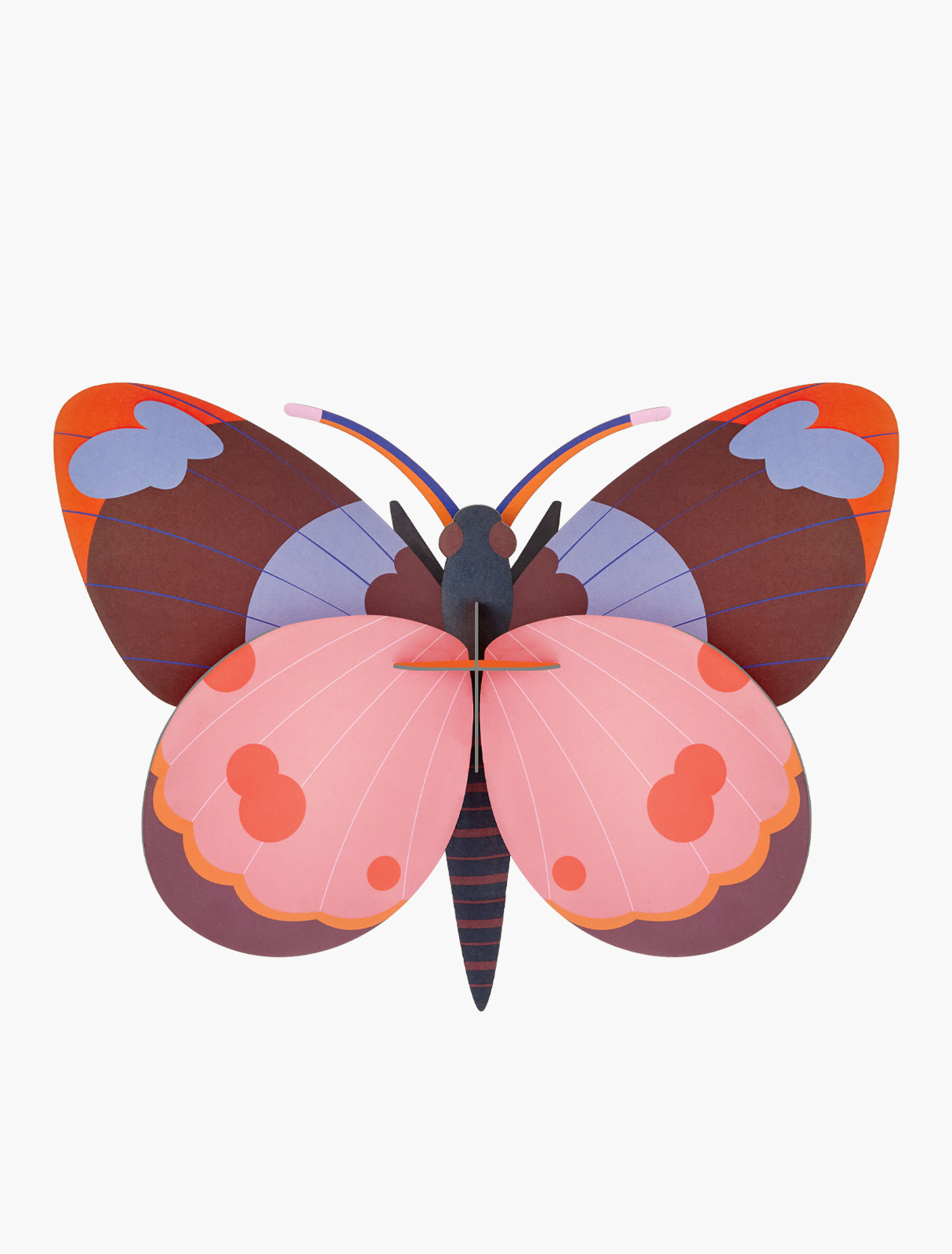 Picture of Bellissima Butterfly - out of stock