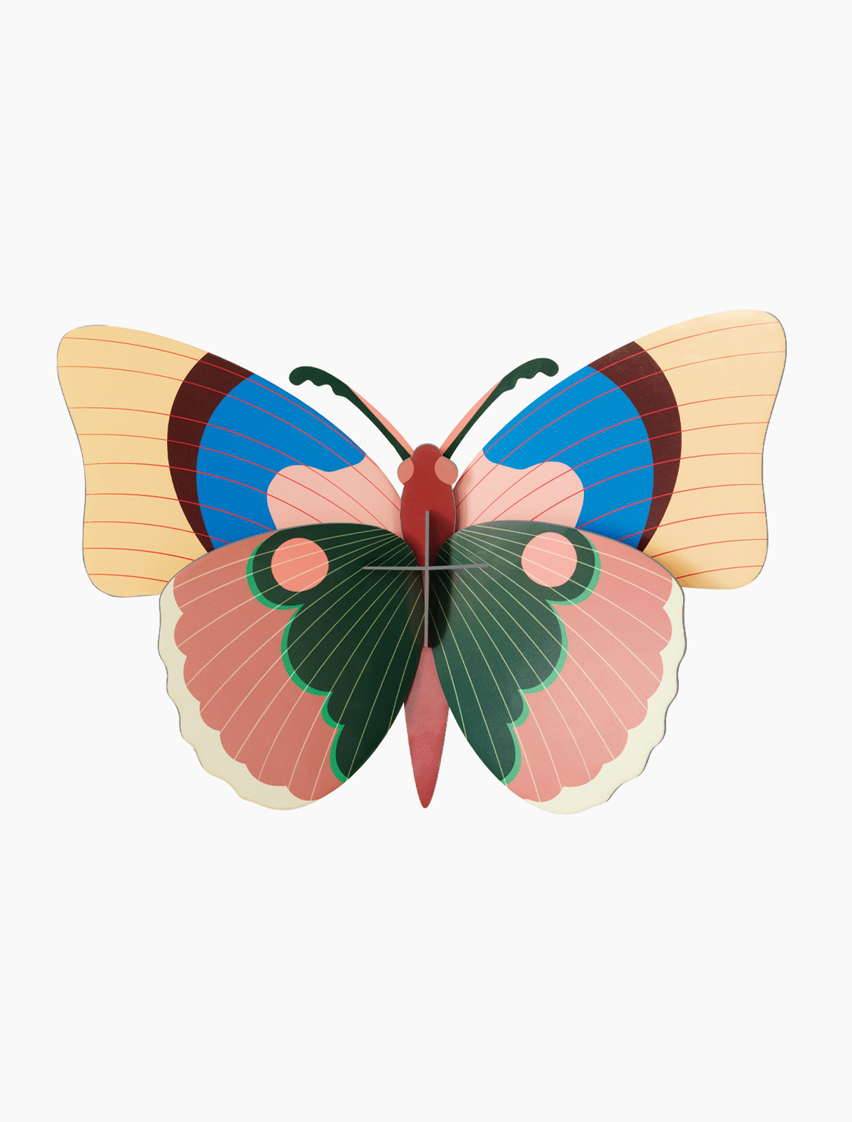 Picture of Cepora Butterfly 