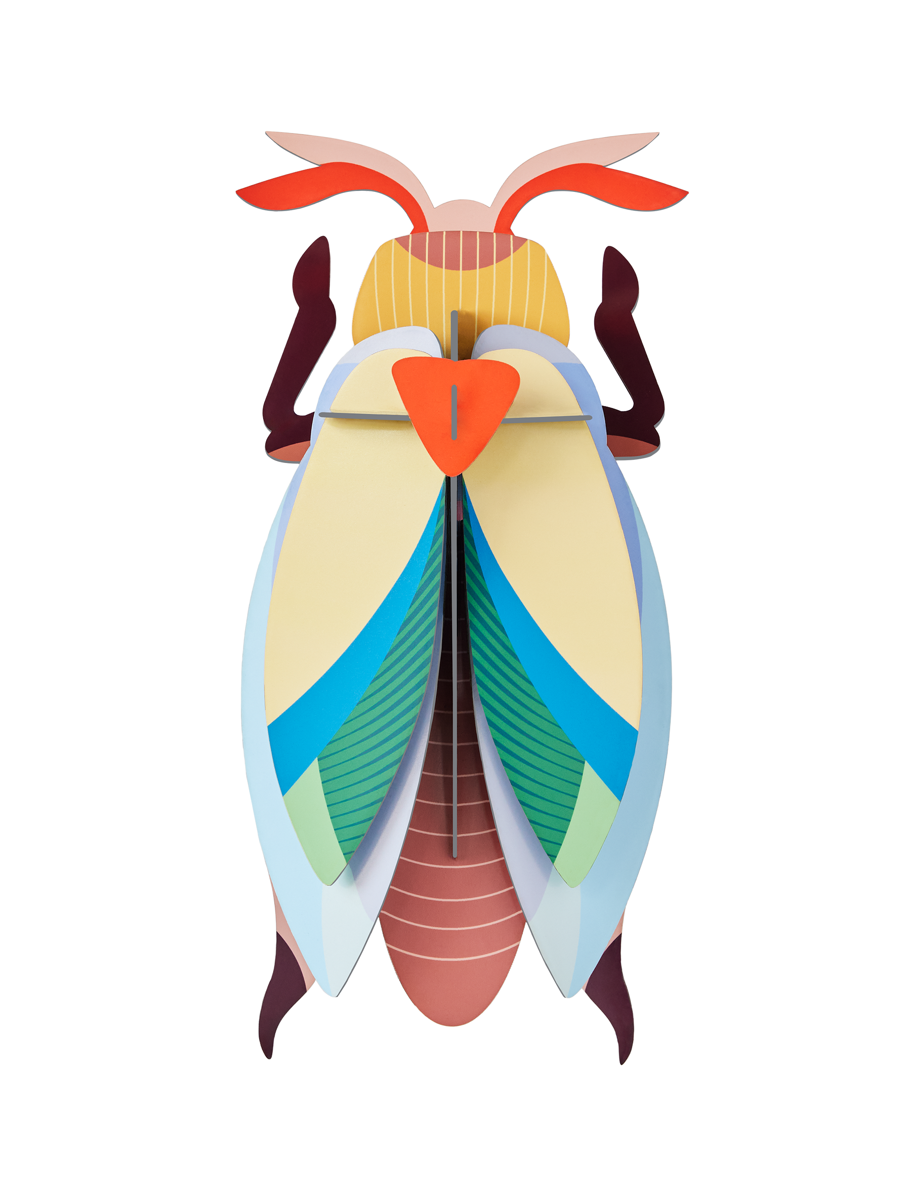 Picture of Lunar Jewel Beetle