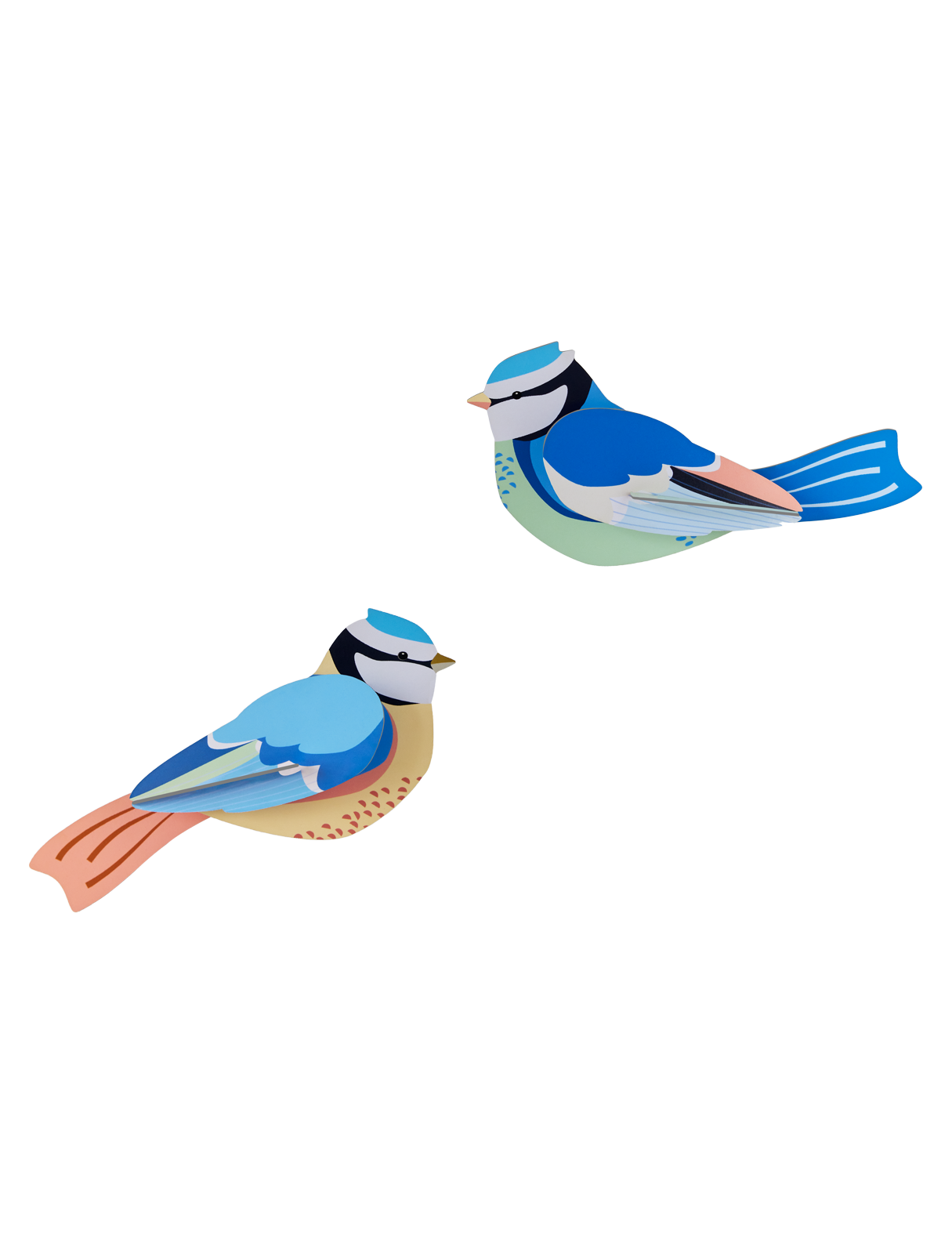 Picture of Blue Tits