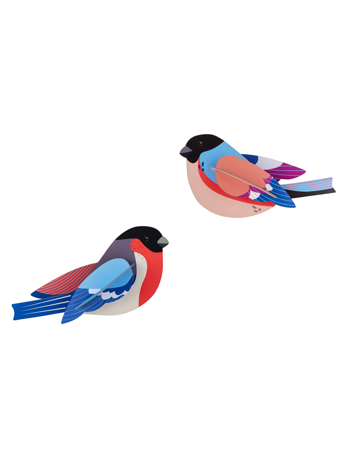 Picture of Finches - out of stock