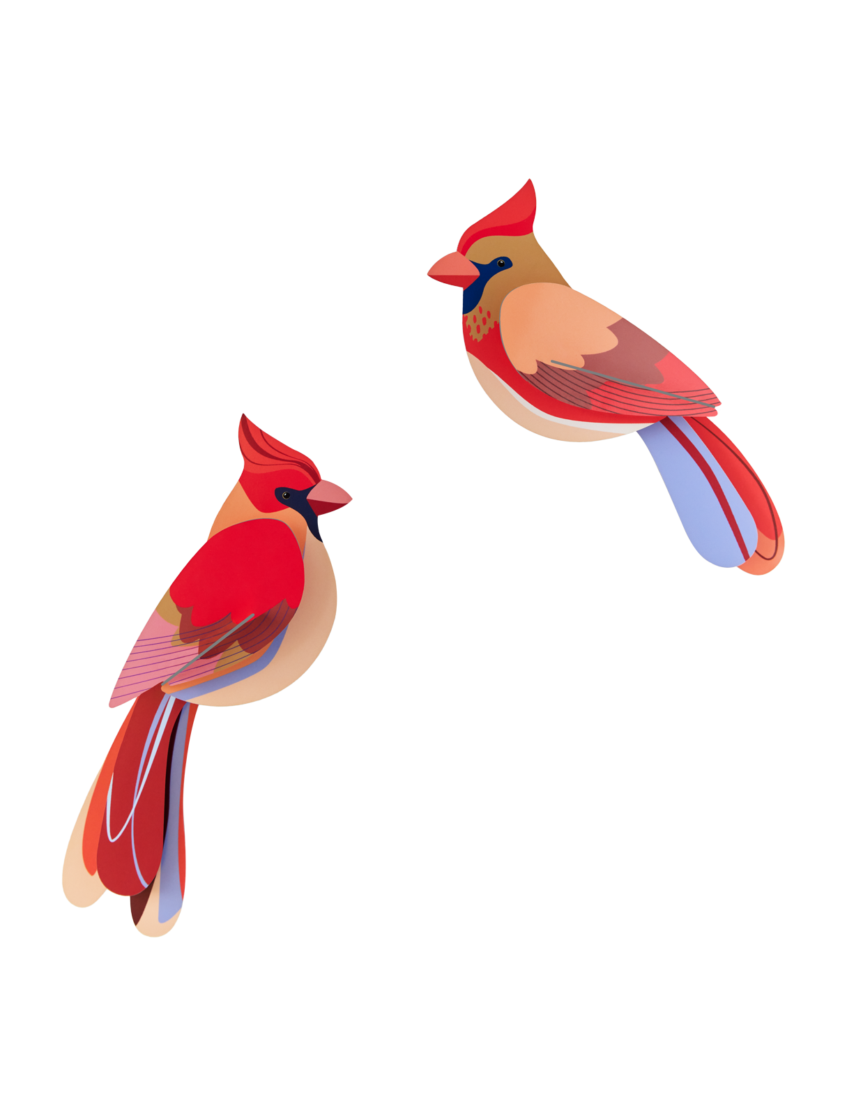 Picture of Cardinals 