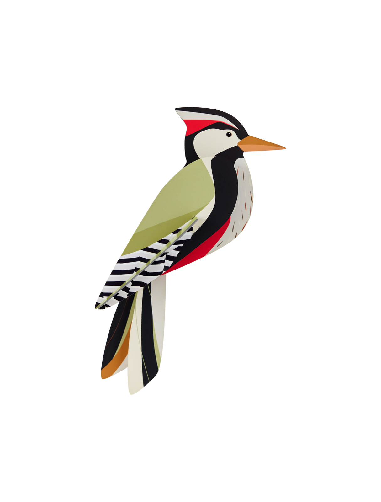 Picture of Woodpecker 