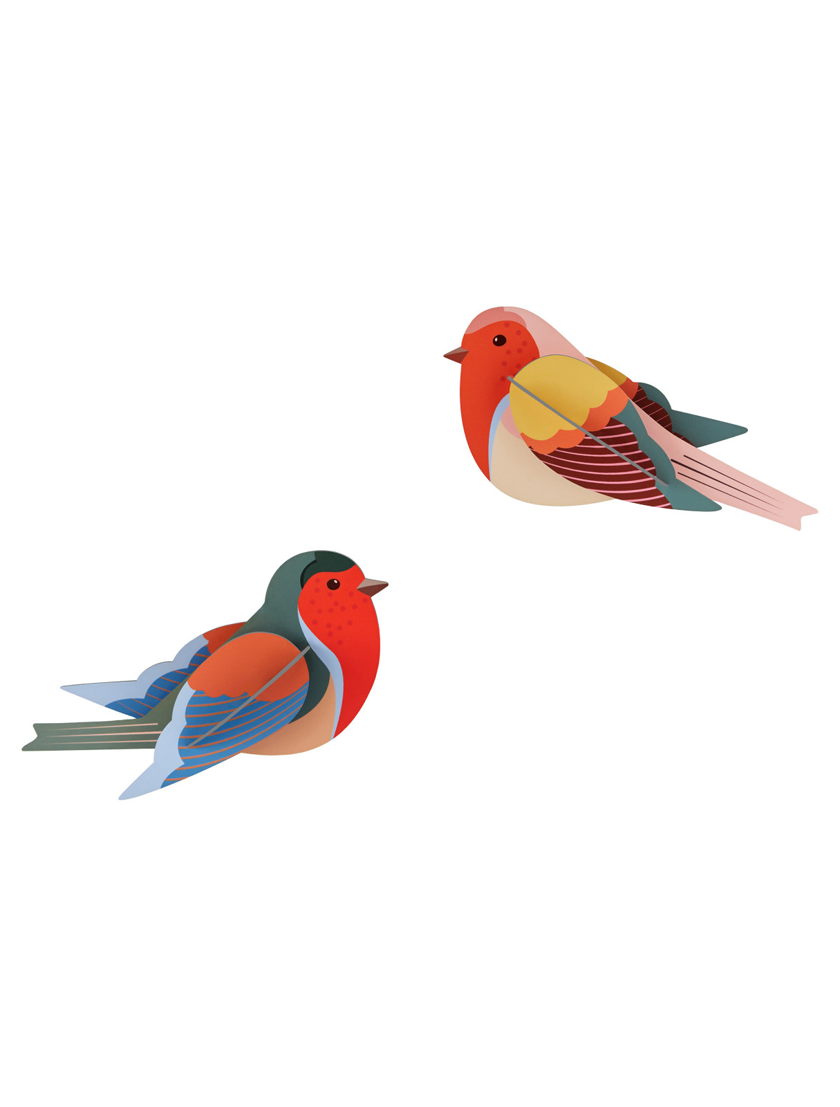 Picture of Robins 